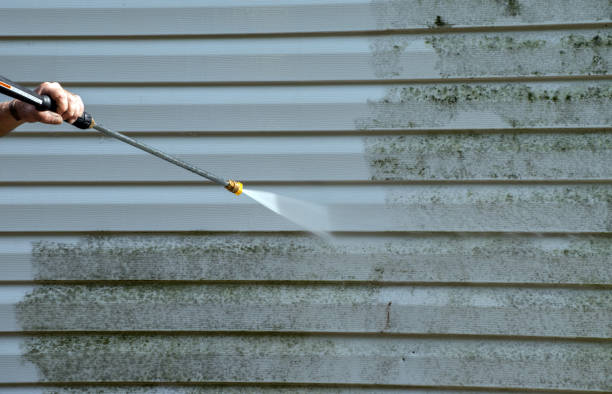 Best Professional Mold Removal  in Silver Lakes, CA