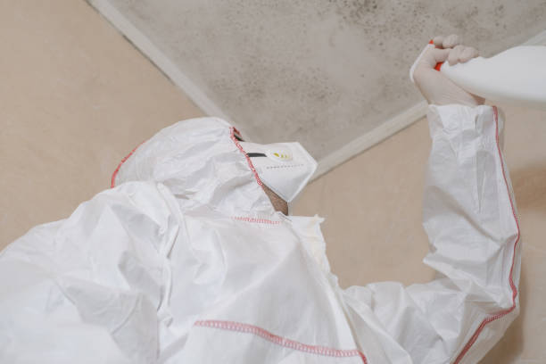 Best Professional Mold Removal  in Silver Lakes, CA