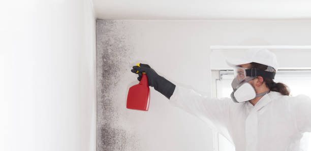 Best Office Mold Removal Services  in Silver Lakes, CA