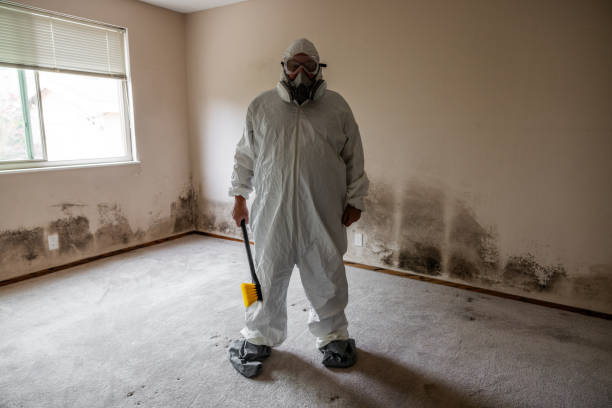 Best Fast Mold Removal  in Silver Lakes, CA