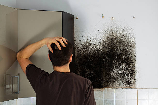Best Certified Mold Removal  in Silver Lakes, CA